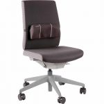 Przenośna podpórka lędźwiowa Smart Suites™